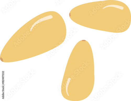 노란색 잣 열매