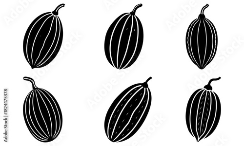Illustration of six black and white cardamom pods with vertical stripes on a white background image art
