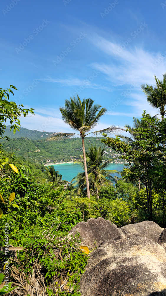 Obraz premium Palm trees overseeing tropical ocean views on the south coast of Ko Tao Island, Surat Thani, Thailand, Southeast Asia.