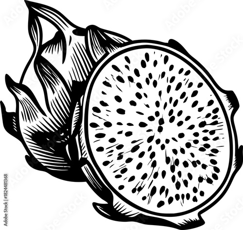 hand drawn dragon fruit illustration with sliced half and detailed tropical exotic pitaya design