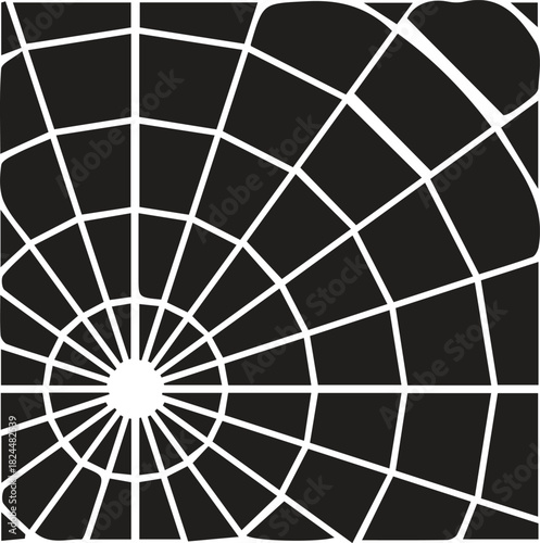 Abstract radial grid network pattern with concentric circular lines