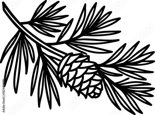 Pine branch with detailed cone and long needles hand drawn botanical evergreen forest illustration