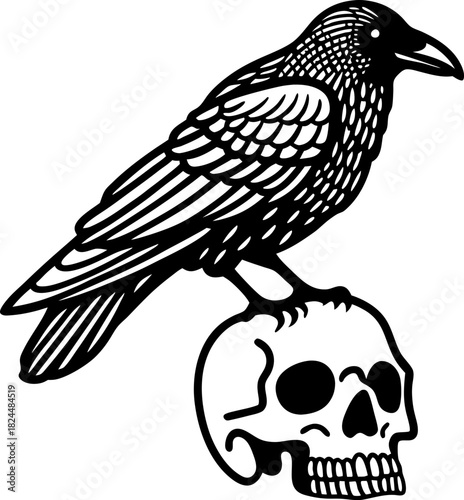 Raven perched on human skull gothic macabre illustration of bird and bone symbolizing death and mystery