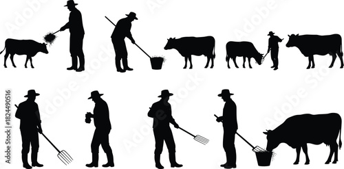 Silhouette of farmer feeding cows with hay, rural agriculture, livestock care, farm life, countryside animals, traditional farming, agriculture lifestyle.