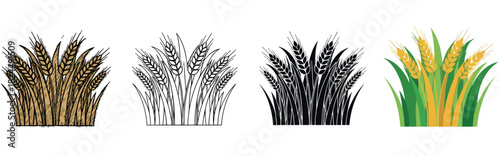 Set of four wheat illustrations in different artistic styles including sketch, line art, silhouette, and flat color vector design for agricultural or food concepts