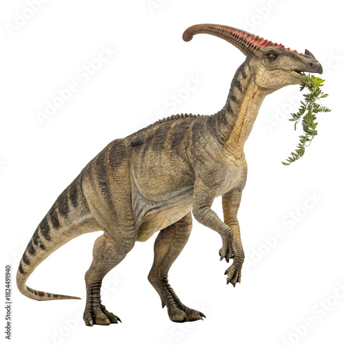 High Resolution Parasaurolophus for Science and Nature Projects

