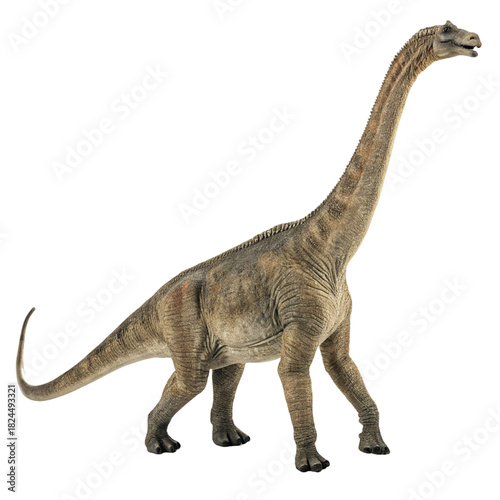 High Resolution Brachiosaurus Image for Science and Nature Projects

