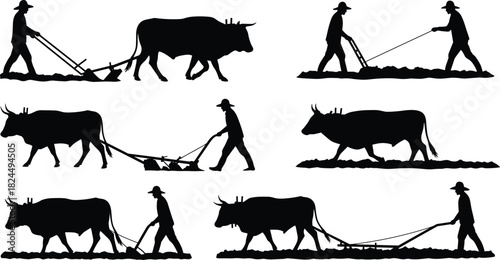 Silhouette of farmer plowing field with oxen, agriculture concept, rural life, traditional farming, livestock, countryside, cultivation, labor, village, nature