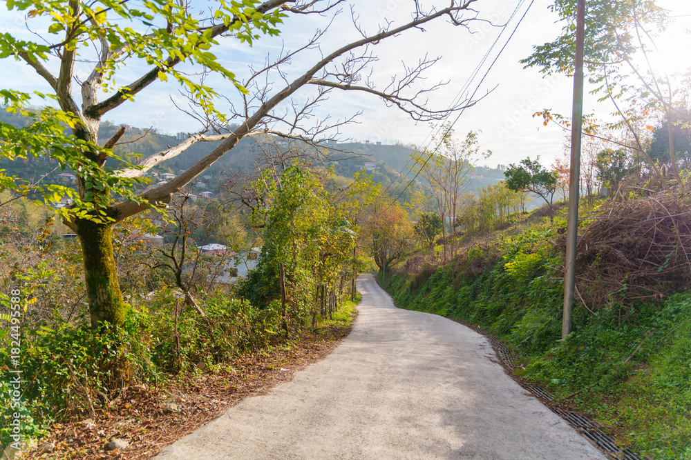Fototapeta premium Winding Rural Road with Green Vegetation