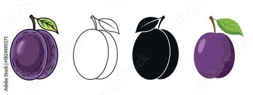 Collection of four plum fruit icons in different graphic styles, including a detailed hand-drawn cartoon, a simple line art outline, a black silhouette, and a flat color vector