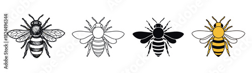 Collection of four bee illustrations in various artistic styles including detailed sketch, simple outline, solid black silhouette, and classic yellow color graphic design