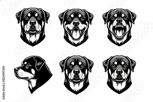 Emotive Dog Faces in Black and White Illustrations