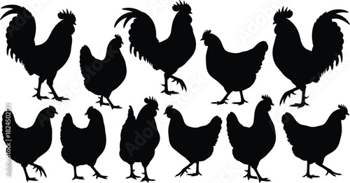 Black Silhouette Vector Set of Roosters and Hens Standing and Walking, Illustrating Diverse Domestic Chickens for Farming, Agriculture, Backyard Poultry, and Rural Design.