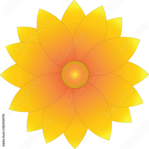Radiant Symmetry: Twelve-Petal Gradient Bloom