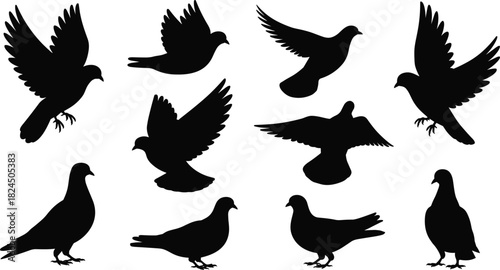 Pigeon silhouette vector set, flying dove collection, black bird icons, peace symbol, wings spreading, urban nature design element isolated.