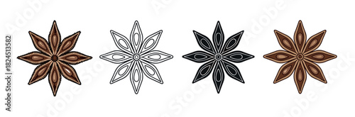 Four star anise spice illustrations in different styles, including detailed color, line art, silhouette, and flat design, showcasing the aromatic cooking ingredient