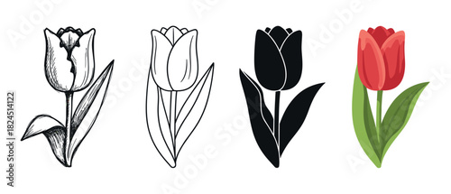 Set of four tulip flower illustrations showing different artistic styles including a hand-drawn sketch, a simple line art outline, a solid black silhouette, and a full color vector graphic