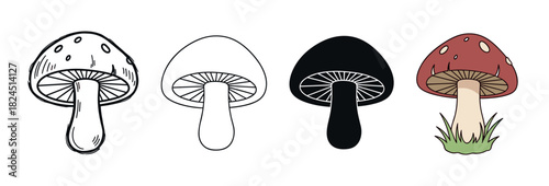 Set of four mushroom illustrations in various graphic styles including doodle, outline, silhouette, and a colored cartoon version with a red cap