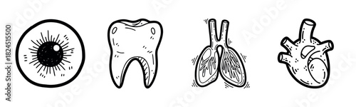 Hand-drawn eye tooth lungs heart illustrations in black and white