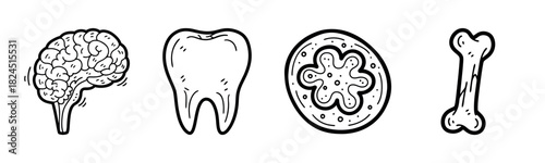Hand-drawn illustrations of brain, tooth, cell, and bone in black and white