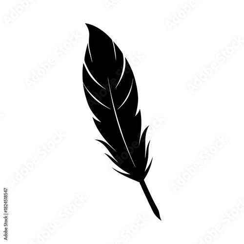 feather on white background