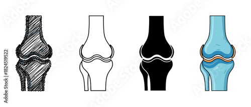 Human knee joint illustration set showing four different graphic styles including a sketch, outline, silhouette, and a detailed color diagram for medical and anatomical concepts