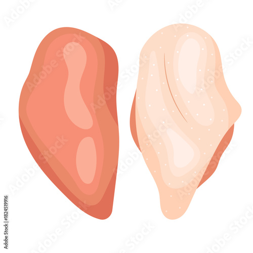Vector illustration of a fresh raw boneless chicken breast