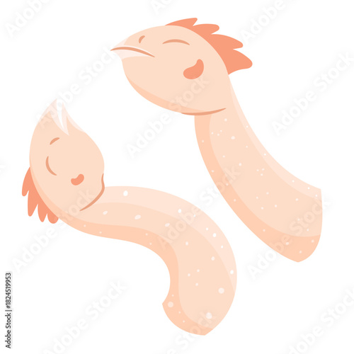 Vector illustration of a fresh raw chicken head