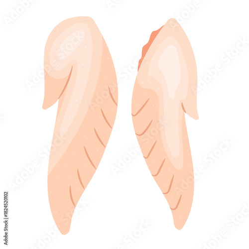Vector illustration of a fresh raw chicken wingtip