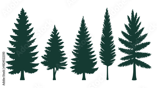 Evergreen tree vector collection