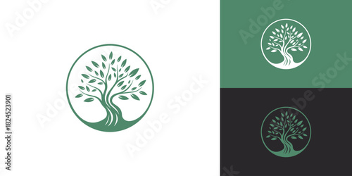 Tree of Life Circle Symbol Vector Design Logo Template Illustration