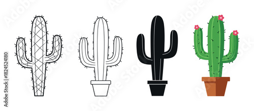 Set of four cactus illustrations showing different graphic styles including detailed line art, a simple outline, a black silhouette, and a full color flat design with pink flowers
