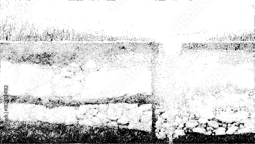 Monochrome abstract grunge texture background with speckled grain pattern Vector, illustration