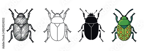 Set of four beetle illustrations showing different artistic styles including a hand-drawn sketch, a simple outline, a black silhouette, and a colorful cartoon version of the insect
