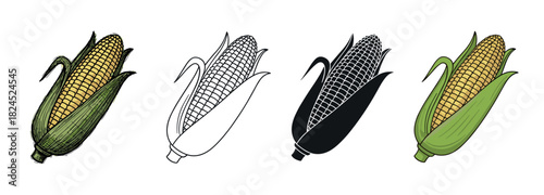Set of four corn cob illustrations in various styles including vintage engraving, line art, black silhouette, and a colorful cartoon, perfect for graphic design and food concepts