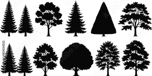 Collection of assorted tree silhouettes including pine, oak, and round trees, detailed forest botanical vector set for nature design