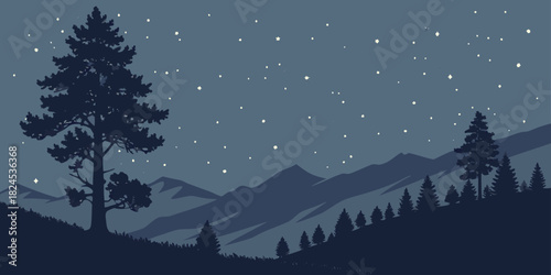 Great Basin starry night sky silhouette