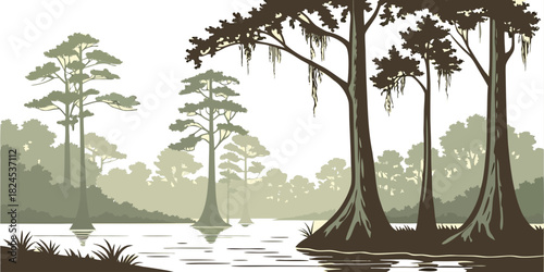 Congaree cypress swamp minimal vector