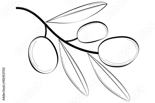 Simple, elegant line art illustration of an olive branch with leaves and olives. A versatile design for logos, labels, or minimalist decor.