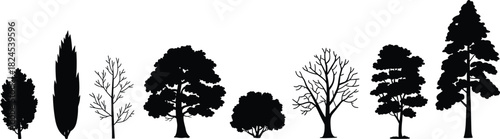 Silhouettes of eight tree types, coniferous and deciduous forms, black vector illustration, cad drawing flat vector illustration