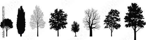 Silhouettes of eight tree types, seasonal and species variation, black vector illustration, cad drawing flat vector illustration