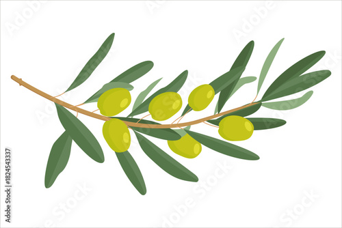 Charming watercolor-style olive branch with vibrant green leaves and yellow olives. Ideal for greeting cards, packaging, or any design needing a fresh, natural touch.