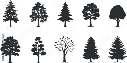 Diverse Tree Silhouettes – Pine Oak Fir Spruce and More