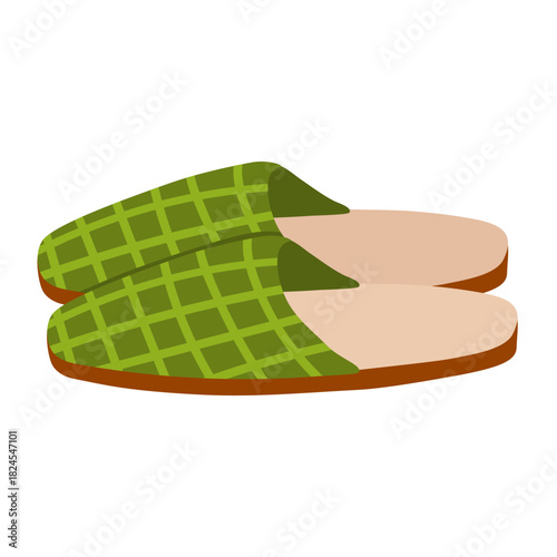 Checkered home slippers. Cozy accessory for autumn and winter. Flip flops for the bedroom