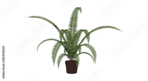 Lush green potted fern plant on white background