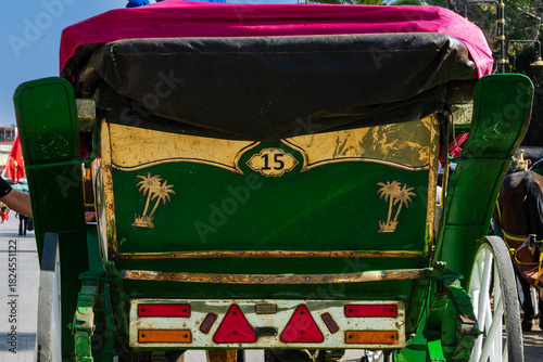 Vibrant horse-drawn carriage with green and gold accents, adorned with palm tree motifs. Marrakesh, Morocco