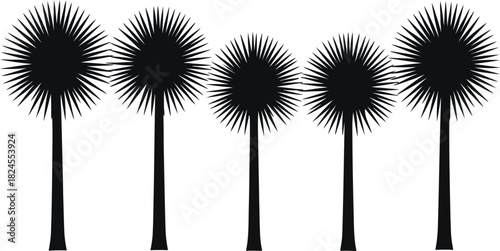 Silhouette of five palm trees against a white background for graphic design