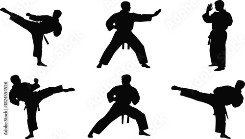 Vector set of six dynamic martial arts and karate fighter silhouettes demonstrating various high kicks, blocks, and stances for combat sports and self-defense design.