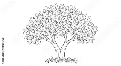 Detailed Black And White Tree Outline For Nature Design Eco Friendly Website Graphics