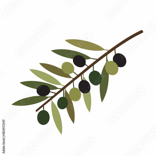 An elegant olive branch with green leaves and ripe black olives.